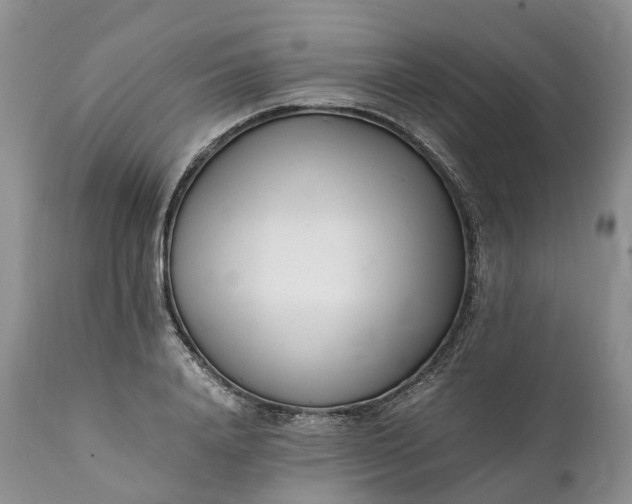 X0000111390840200907241332