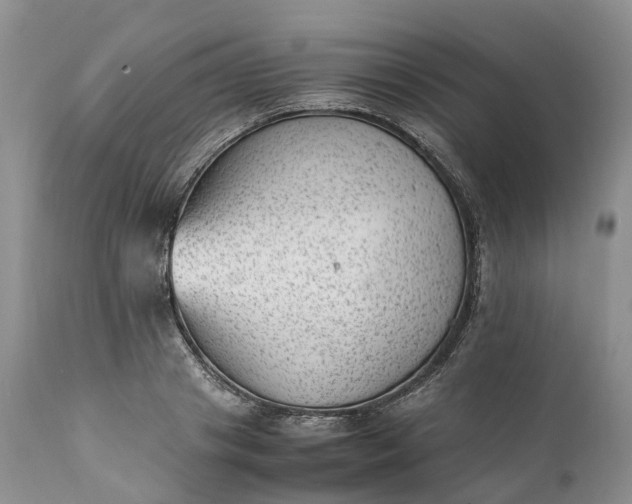 X0000111390841200907241332