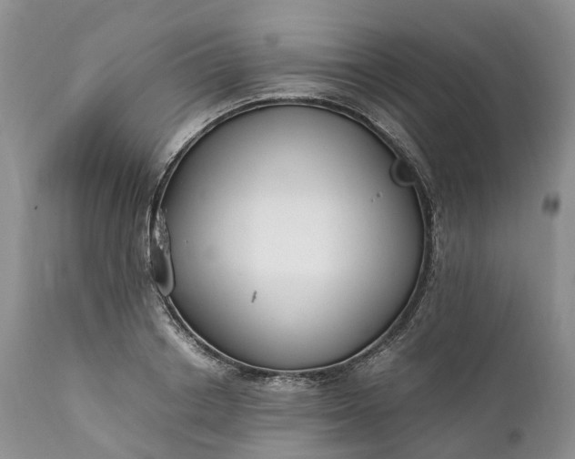 X0000111390842200907241332