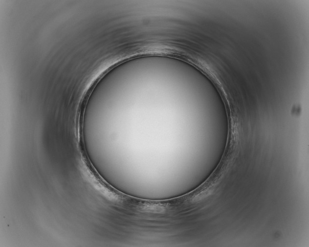 X0000111390843200907241332