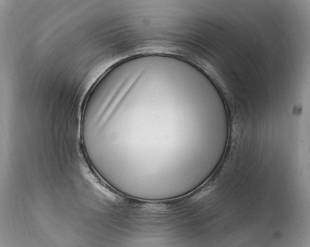 X0000111390844200907241332