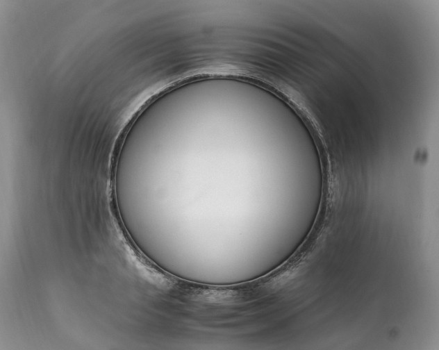 X0000111390845200907241332