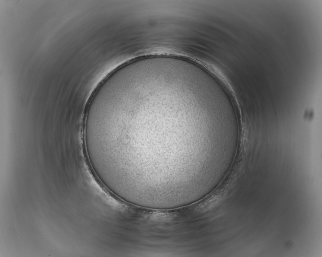 X0000111390847200907241332