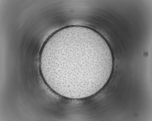 X0000111390848200907241332