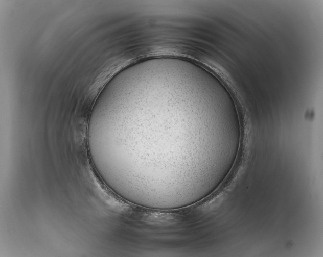 X0000111390849200907241332