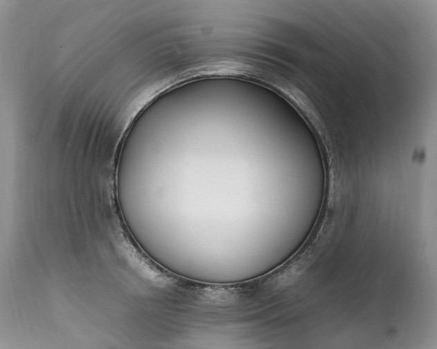 X0000111390850200907241332