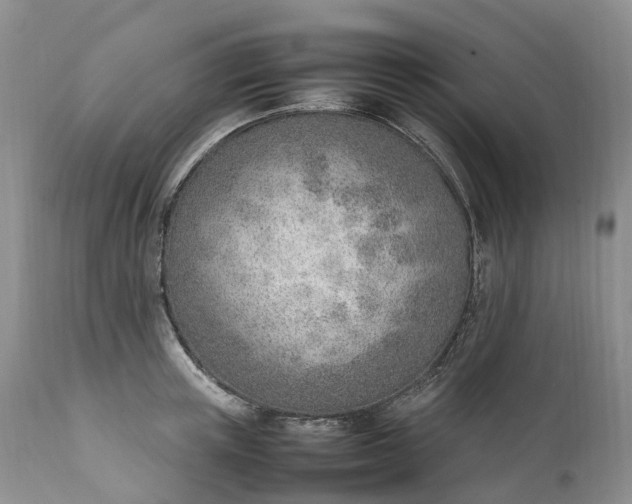 X0000111390851200907241332