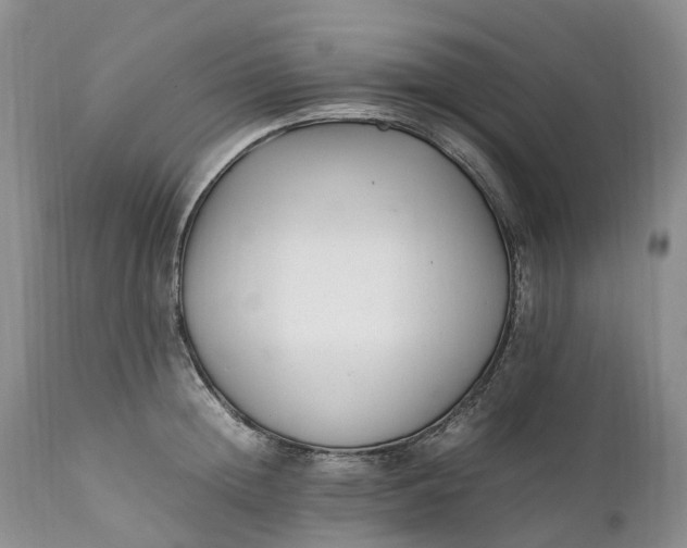 X0000111390852200907241332