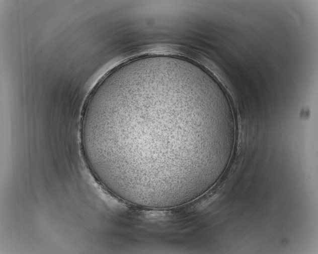 X0000111390853200907241332