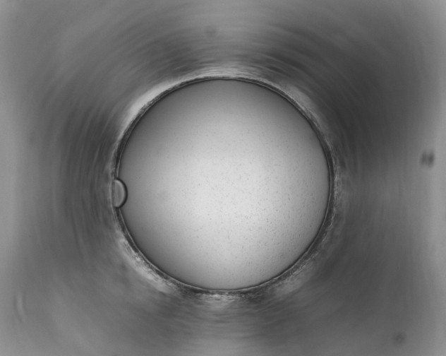 X0000111390854200907241332