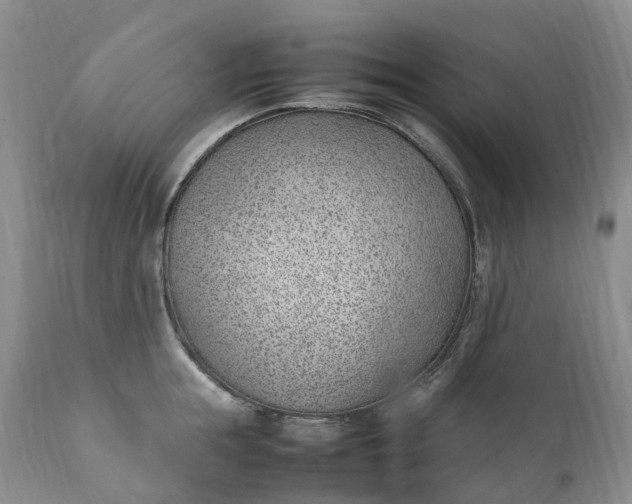 X0000111390855200907241332