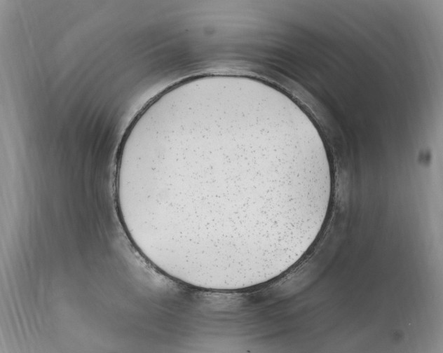 X0000111390856200907241332