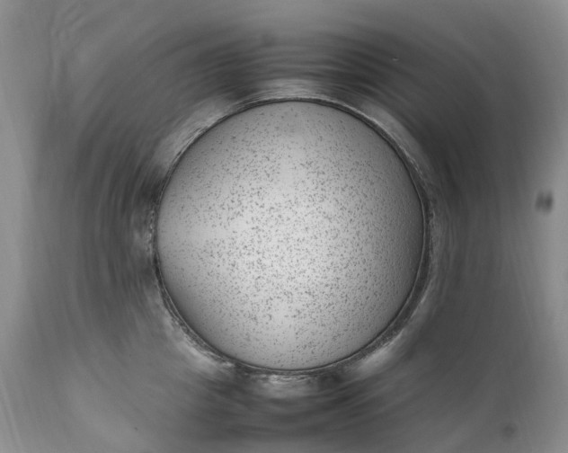 X0000111390857200907241332