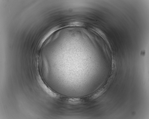 X0000111390859200907241332