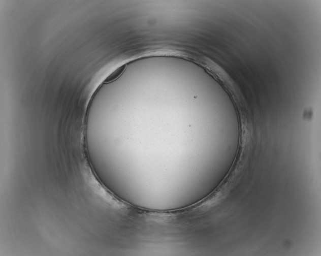 X0000111390860200907241332