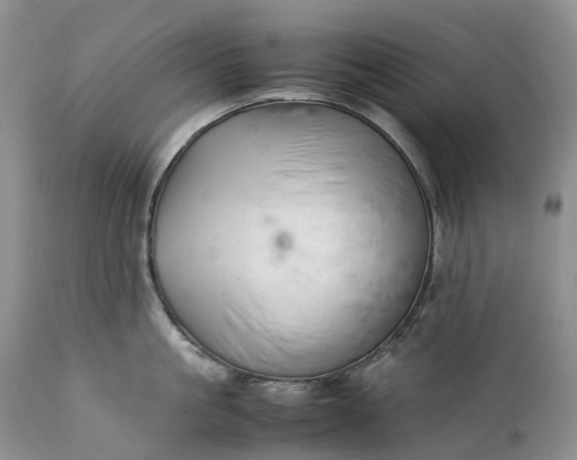 X0000111390861200907241332