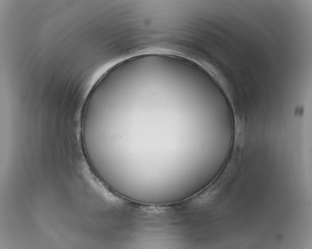 X0000111390862200907241332