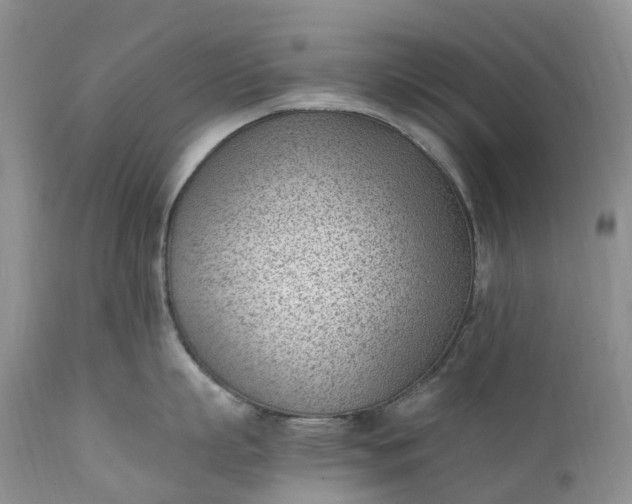 X0000111390863200907241332