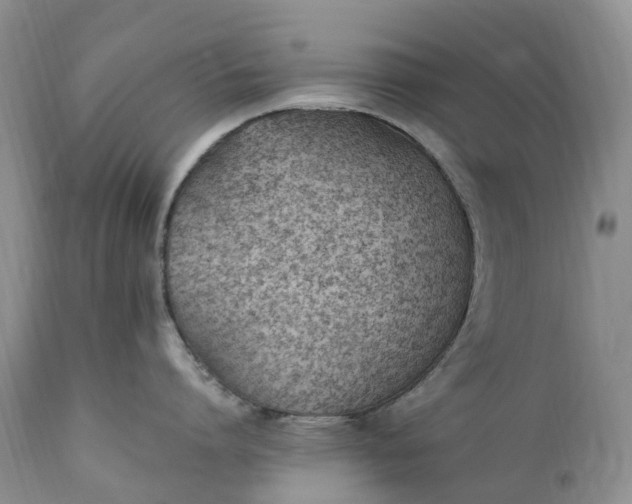 X0000111390864200907241332