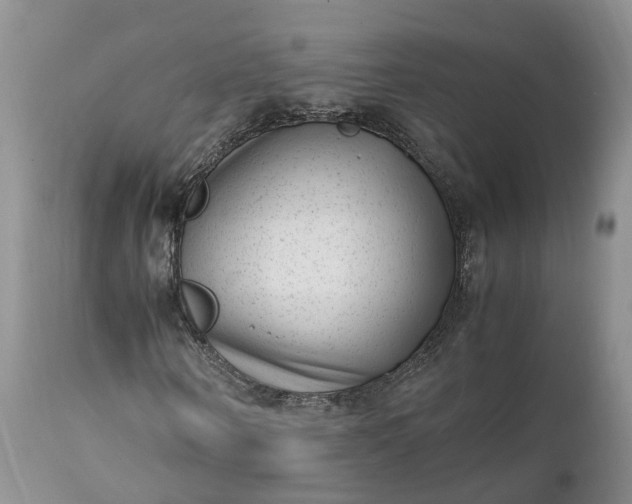 X0000111390866200907241331