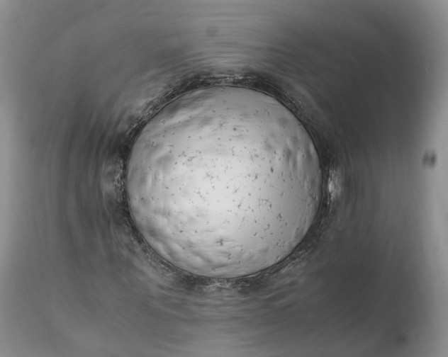 X0000111390867200907241331