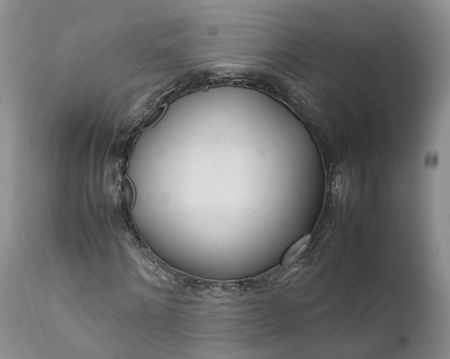 X0000111390868200907241331