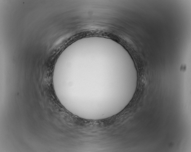 X0000111390869200907241331