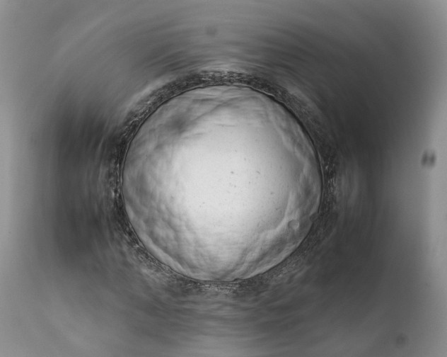 X0000111390870200907241331