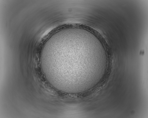 X0000111390871200907241331