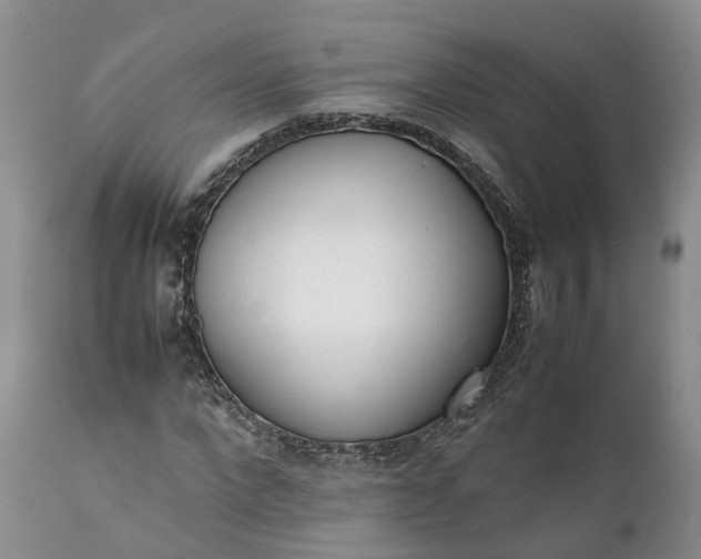 X0000111390872200907241331