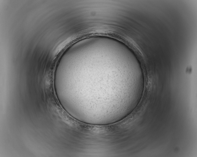 X0000111390874200907241331