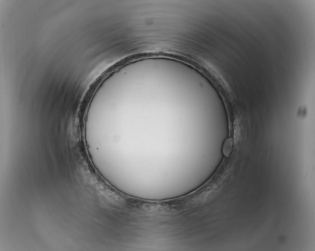 X0000111390876200907241331