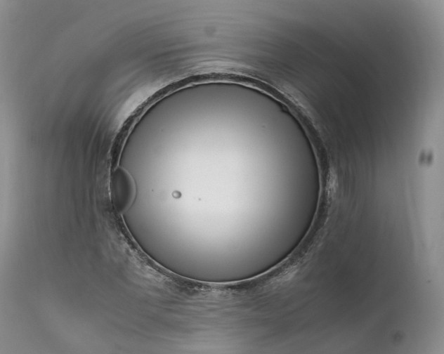 X0000111390877200907241331