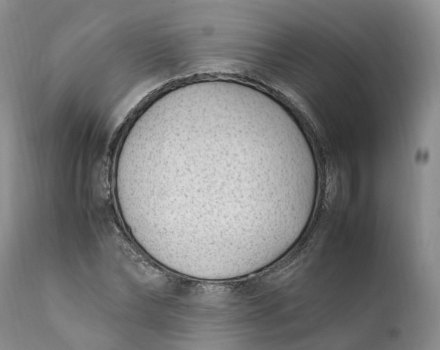 X0000111390878200907241331