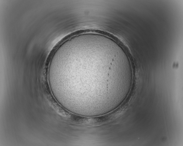 X0000111390879200907241331