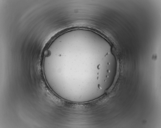 X0000111390880200907241331