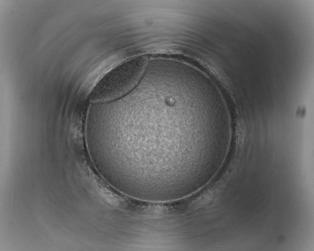 X0000111390881200907241331