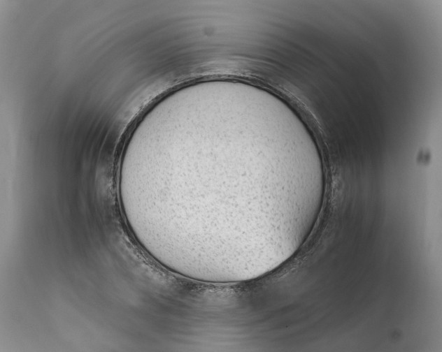 X0000111390882200907241331