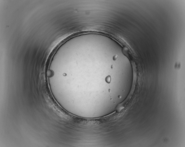 X0000111390884200907241331