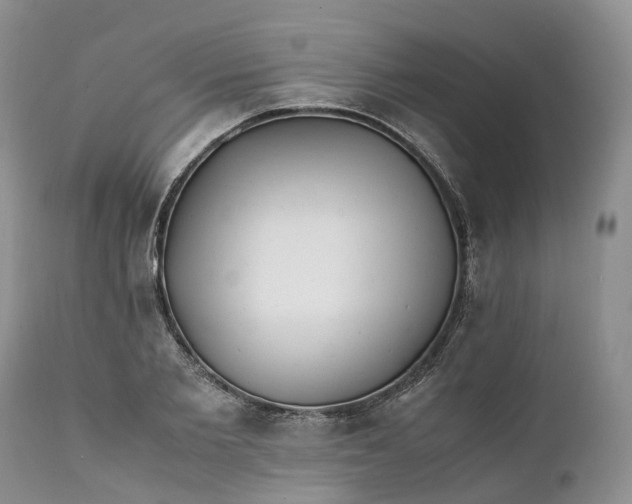 X0000111390885200907241331