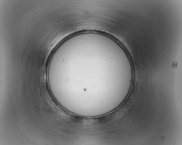 X0000111390887200907241331