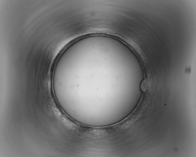 X0000111390888200907241331