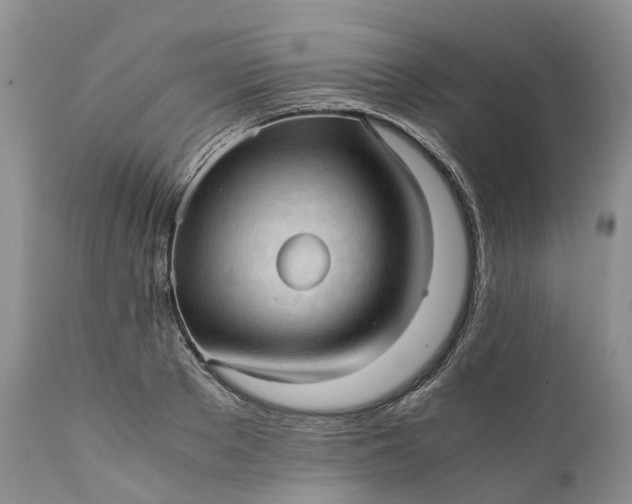 X0000111390889200907241331