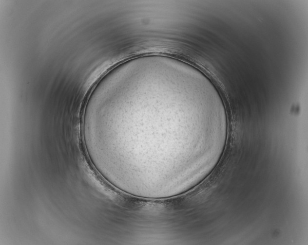 X0000111390890200907241331