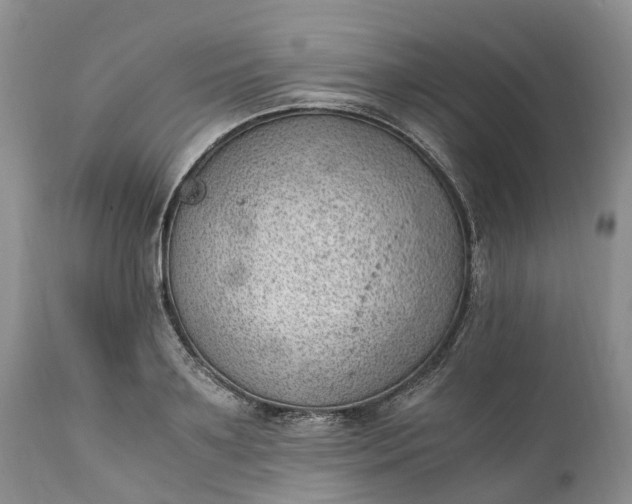 X0000111390891200907241331