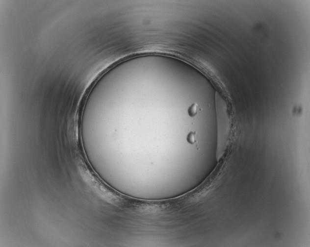 X0000111390892200907241331