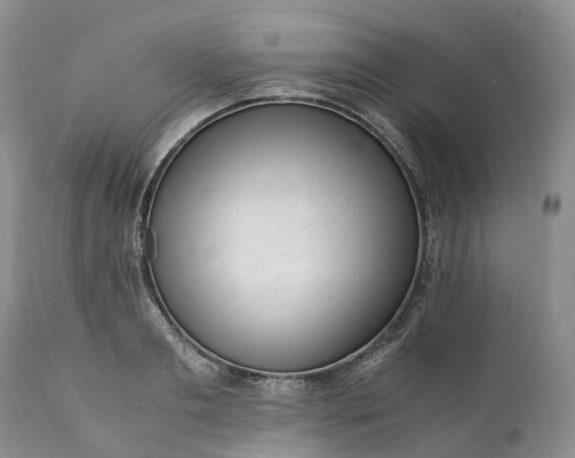 X0000111390893200907241331