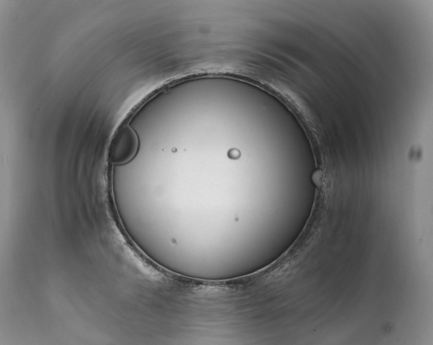 X0000111390894200907241331