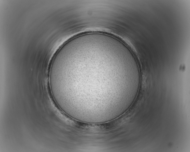 X0000111390895200907241331