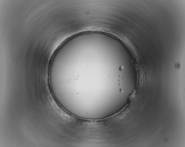 X0000111390896200907241331